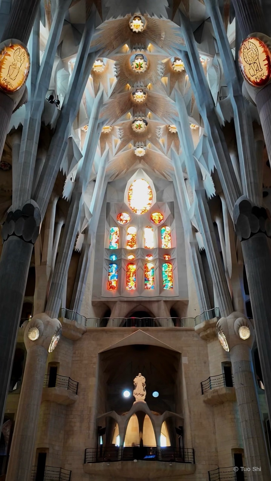 Tree-like columns branching into the star-shaped vaults of the nave