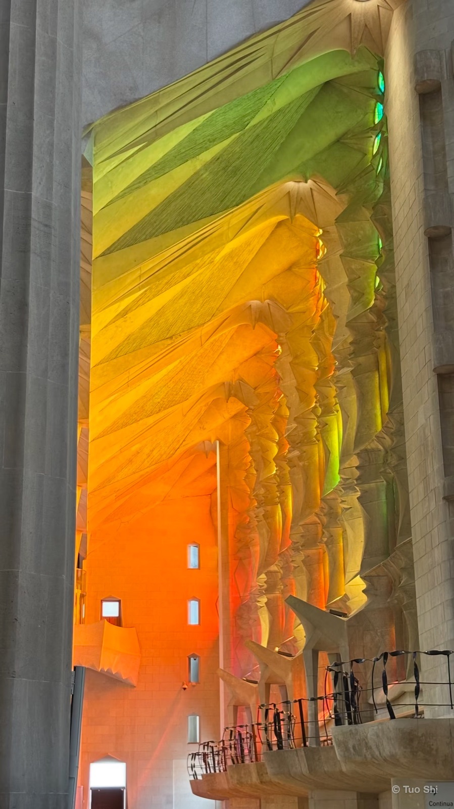 Pale vaults washed in yellow and green light from the windows