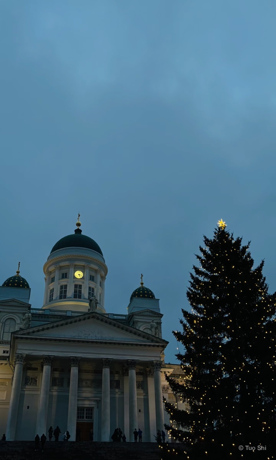 Helsinki Cathedral at dusk with a lit Christmas tree on Senate Square
