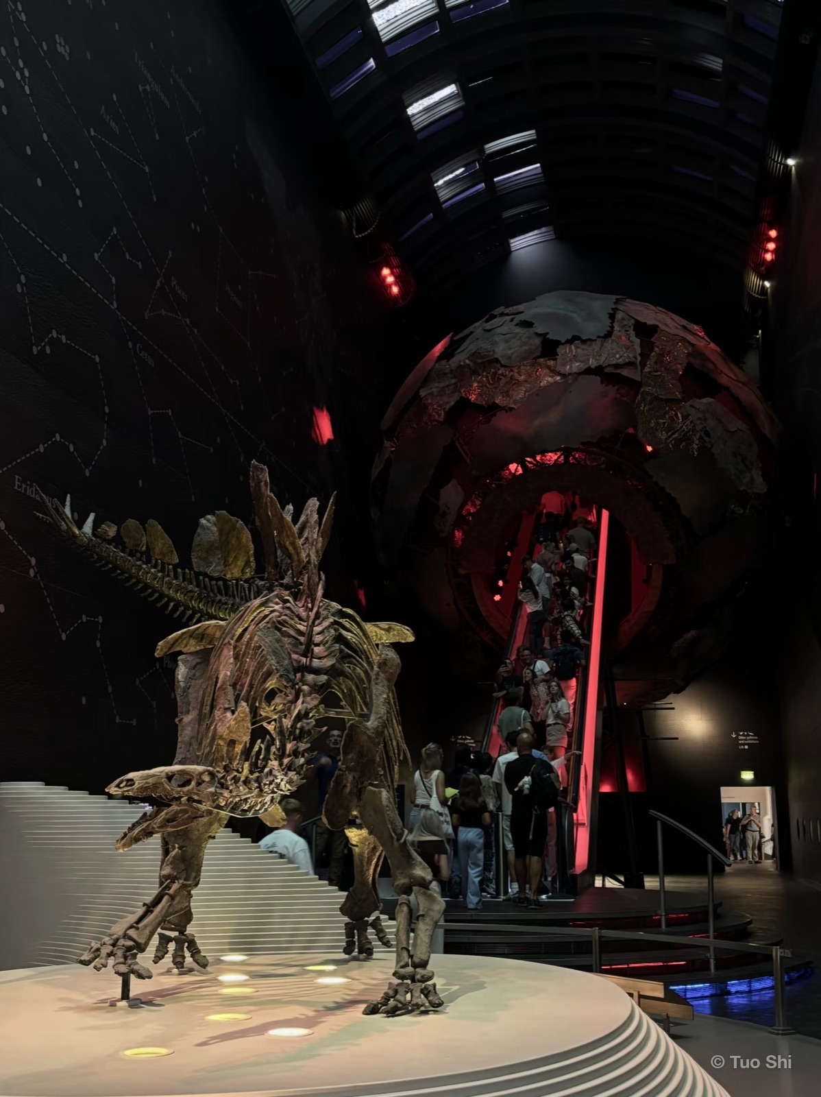 A stegosaurus skeleton in a dark hall beneath a large metal globe