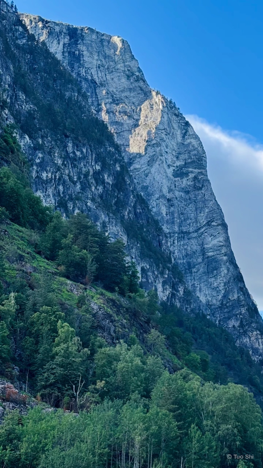 A sheer rock face rising above a forested slope under a blue sky