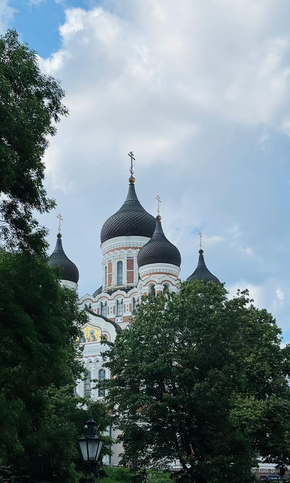 The dark onion domes of Alexander Nevsky Cathedral seen between green trees