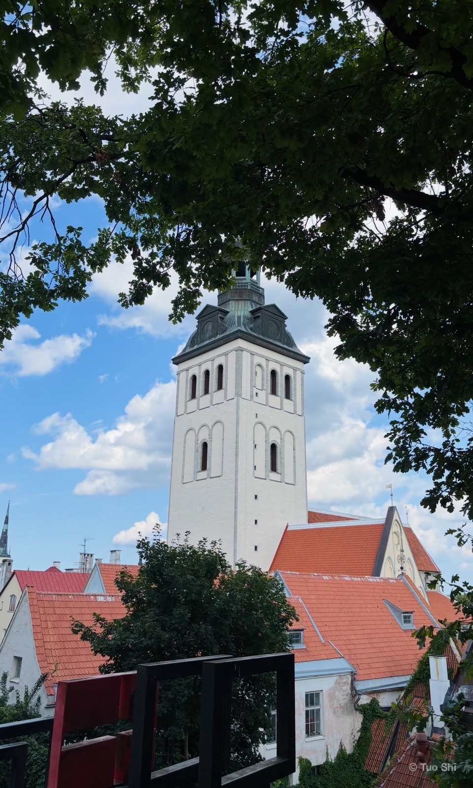 A white church tower above red Old Town roofs, framed by tree branches